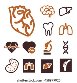 anatomy icon set