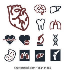 anatomy icon set