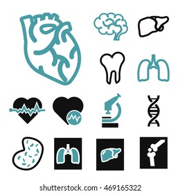 anatomy icon set