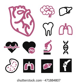 anatomy icon set