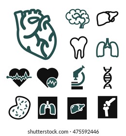 anatomy icon set