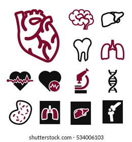 anatomy icon set