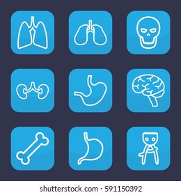 anatomy icon. Set of 9 outline anatomy icons such as hair removal, stomach, lungs, brain, kidney, skull