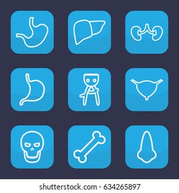 Anatomy icon. set of 9 outline anatomy icons such as nose, hair removal, stomach, liver, kidney, bladder, skull