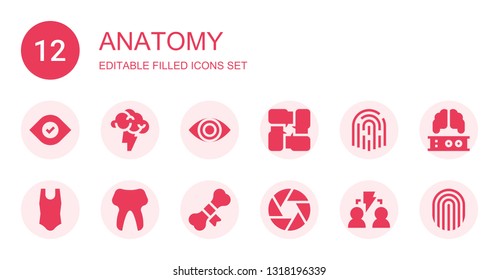 anatomy icon set. Collection of 12 filled anatomy icons included Eye, Brainstorming, Arms, Fingerprint, Body, Tooth, Bone, Diaphragm, Brain