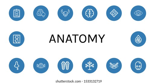 anatomy icon set. Collection of Dental record, Brain, Skull, X ray, Eye, Nose bleeding, Shin, Phylogenetics, Erythrocytes icons