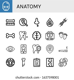 anatomy icon set. Collection of Skull, Bone, Ear, Nose bleeding, Erythrocytes, Joint, Healthy tooth, Brain, Feet, Eye, Tooth, Vitruvian man, Dental record, X ray icons