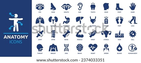Anatomy icon set. Containing eye, nose, mouth, ear, brain, head, hand, stomach, heart, kidneys, liver, lungs and more. Human body part and organs vector icons collection.