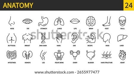 Anatomy icon set. Human body, internal organs, nose, eye, stomach, lungs, brain, foot, skull, hand, head, liver, intestines, kidneys, ovary, bladder, heart, etc. Editable stroke, vector illustration.