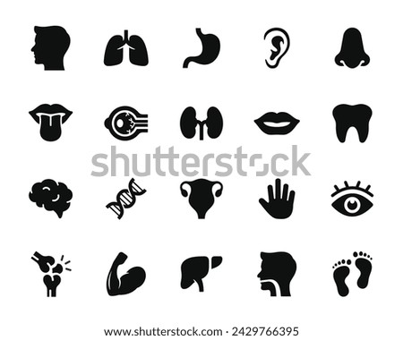 Anatomy icon set isolated on white background. Human organ icon set