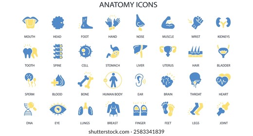 Anatomy icon set.vector.Editable stroke.linear style sign for use web design,logo.Symbol illustration.