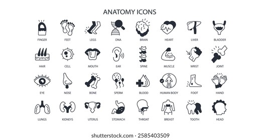 Anatomy icon set.vector.Editable stroke.linear style sign for use web design,logo.Symbol illustration.