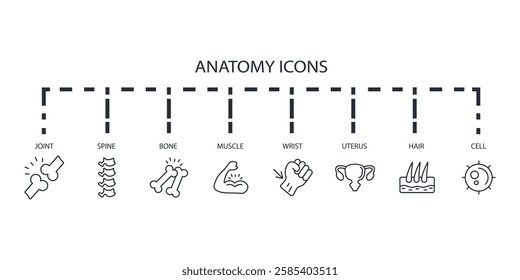 Anatomy icon set.vector.Editable stroke.linear style sign for use web design,logo.Symbol illustration.