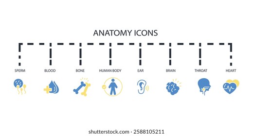 Anatomy icon set.vector.Editable stroke.linear style sign for use web design,logo.Symbol illustration.