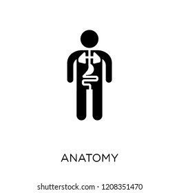 Anatomy icon. Anatomy symbol design from Gym and fitness collection. Simple element vector illustration on white background.
