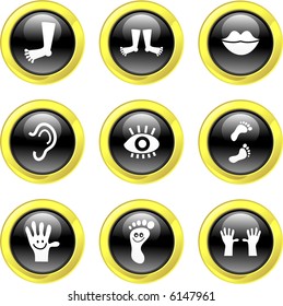 anatomy icons