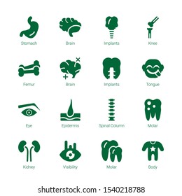 Anatomy Icons. Editable 16 Anatomy Icons. Included Icons Such As Stomach, Brain, Implants, Knee, Femur, Tongue, Eye, Epidermis, Spinal Column, Molar. Anatomy Trendy Icons For Web.