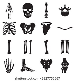 Anatomy icons of human skeletal system parts with skeleton vertebrae orthopedic education healthcare clavicle medicine structure skeletal