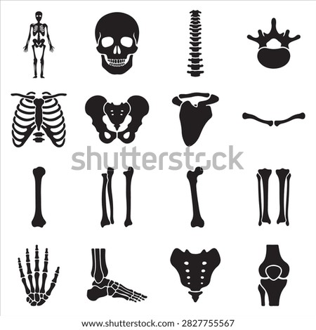 Anatomy icons of human skeletal system parts with skeleton vertebrae orthopedic education healthcare clavicle medicine structure skeletal
