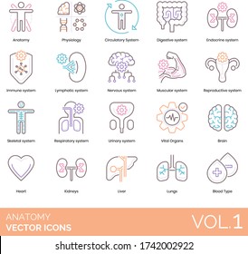 Anatomy icons including physiology, circulatory system, digestive, endocrine, immune, lymphatic, nervous, muscular, reproductive, skeletal, respiratory, urinary, vital, brain, heart, kidney, lungs.
