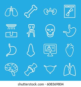 Anatomy icons set. set of 16 anatomy outline icons such as nose, hair removal, stomach, heart organ, lungs, brain, kidney, bladder, bone, x ray, x-ray on display