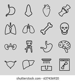 Anatomy icons set. set of 16 anatomy outline icons such as nose, hair removal, stomach, liver, heart organ, lungs, brain, kidney, bladder, bone, x ray