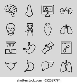 Anatomy icons set. set of 16 anatomy outline icons such as nose, hair removal, stomach, liver, heart organ, lungs, brain, kidney, bladder, bone, x ray, x-ray on display