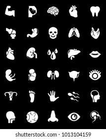 ANATOMY Icons set