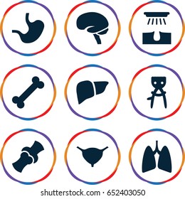Anatomy icons set. set of 9 anatomy filled icons such as hair removal, liver, brain, bladder, bone, lungs