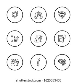Anatomy icons set with brain, bladder and lung elements. Set of anatomy icons and pulmonary concept. Editable vector elements for logo app UI design.