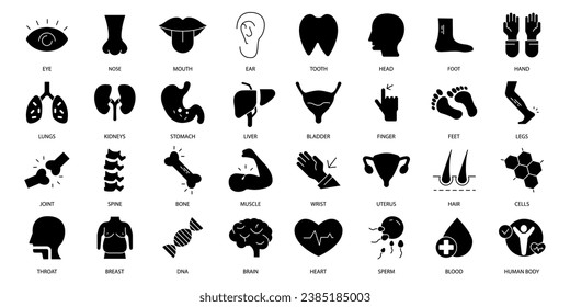 Anatomy icons set. Set of editable stroke icons.Vector set of Anatomy