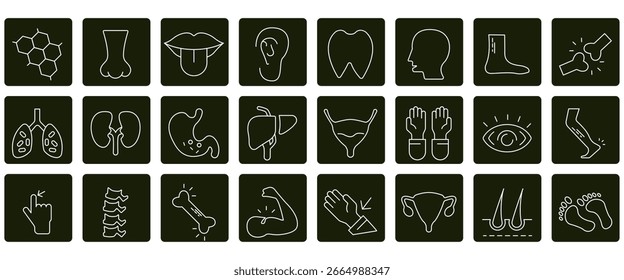 Anatomy icons set. Set of editable stroke icons.Set of Anatomy
