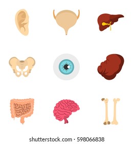 Anatomy icons set. Flat illustration of 9 anatomy vector icons for web