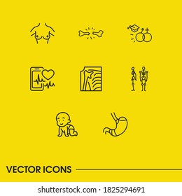 Anatomy icons set with skeleton, heartbeat tracker app and baby elements. Set of anatomy icons and fracture concept. Editable vector elements for logo app UI design.