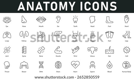 Anatomy Icons vector illustration with thin line editable stroke containing eye nose mouth ear tooth head foot hand lungs kidney stomach liver blood heart brain DNA throat cell hair.