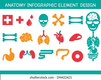 ANATOMY INFO GRAPHIC ELEMENT DESIGN