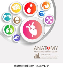 ANATOMY INFO GRAPHIC ELEMENT DESIGN TEMPLATE