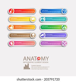 ANATOMY INFO GRAPHIC ELEMENT DESIGN TEMPLATE