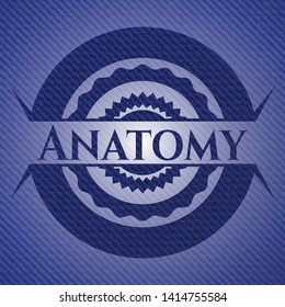 Anatomy jean background. Vector Illustration. Detailed.
