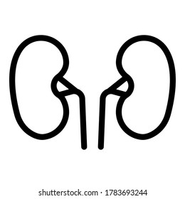 Anatomy kidney icon. Outline anatomy kidney vector icon for web design isolated on white background