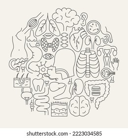 Círculo de iconos de la línea de anatomía. Ilustración vectorial del diseño de contorno.