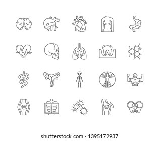 Anatomy line icons, signs, vector set, outline illustration concept 