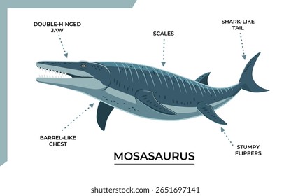 Anatomia de um Mosassauro, réptil marinho pré-histórico com características