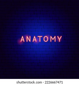 Anatomy Neon Text. Vector Illustration of Medical Human Health Objects.