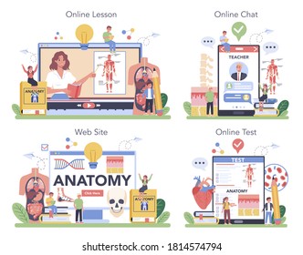 Anatomía en línea o conjunto de plataformas. Estudios internos de órganos humanos. Concepto de anatomía y biología. Sistema corporal humano. Lección en línea, chat con profesor, sitio web, prueba. Ilustración vectorial plana