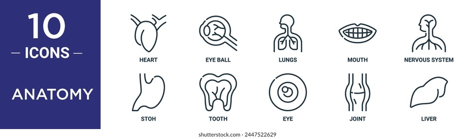 anatomy outline icon set includes thin line heart, eye ball, lungs, mouth, nervous system, stoh, tooth icons for report, presentation, diagram, web design