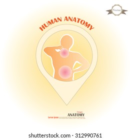 anatomy with pain point. man having pain at neck and back. vector illustration.