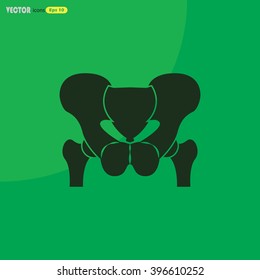 Anatomy Pelvis Icon Stock Vector (Royalty Free) 393397384