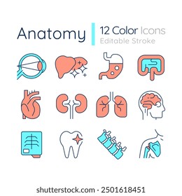 Anatomy RGB color icons set. Academic discipline. Medical education. Internal organs. Human skeleton. Isolated vector illustrations. Simple filled line drawings collection. Editable stroke