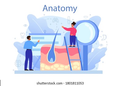 Anatomy school subject. Internal human organ studying. Anatomy and biology concept. Human body system. Liver and kidney, heart and stomach. Isolated flat vector illustration